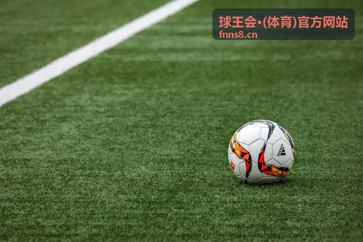 观赛指南精选